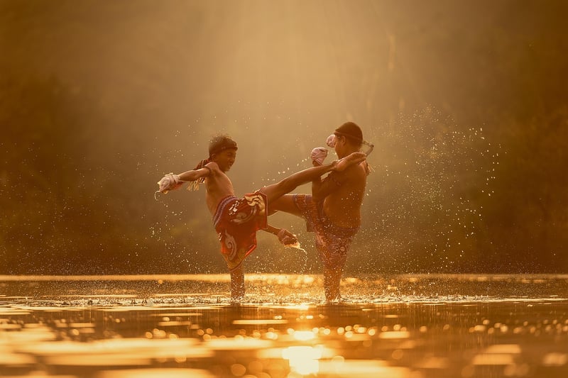 Chen Style Tai Chi Image